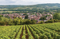 Entreprises Dijon - Toutes les entreprises, sociétés et PME à Dijon